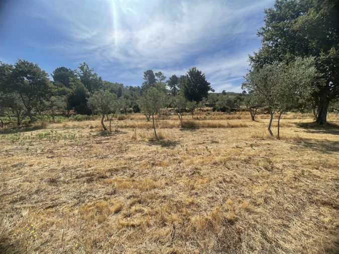 Terreno Agricola ou Rústico para Venda em Melo e Nabais Foto 6