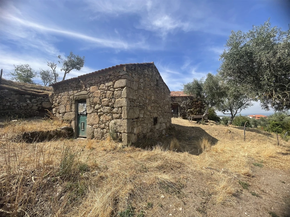 Terreno Agricola ou Rústico para Venda em Melo e Nabais Foto 3