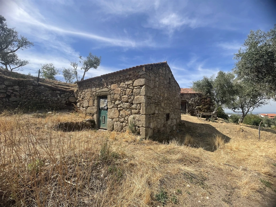 Terreno Agricola ou Rústico para Venda em Melo e Nabais Foto 5