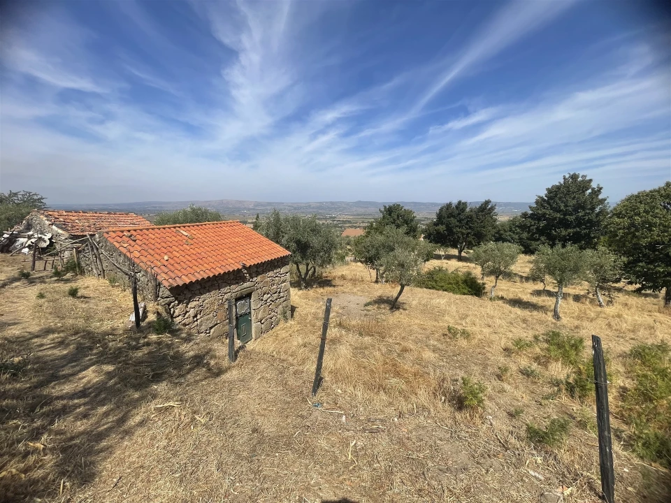 Terreno Agricola ou Rústico para Venda em Melo e Nabais Foto 1