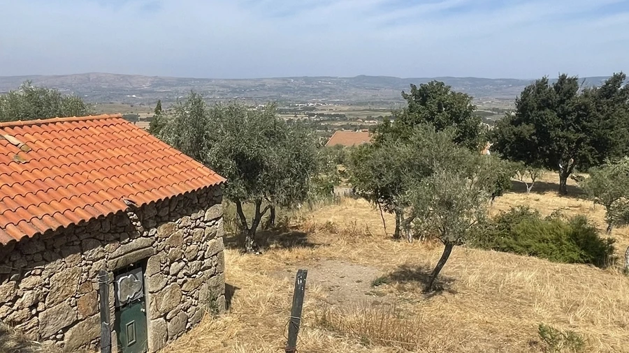 Terreno Agricola ou Rústico para Venda em Melo e Nabais