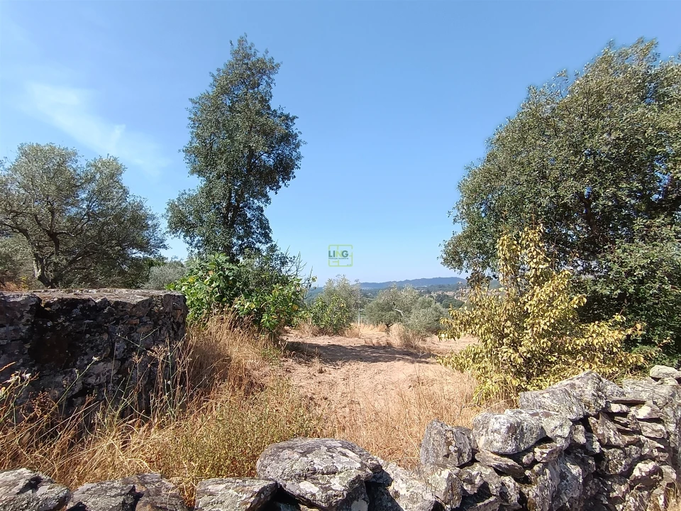 Terreno Agricola ou Rústico para Venda em Aranhas Foto 14