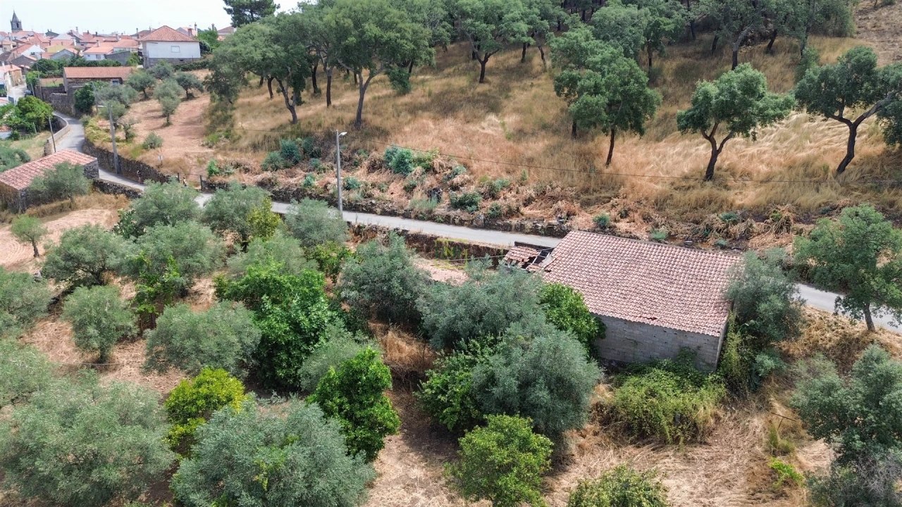Terreno Agricola ou Rústico para Venda em Aranhas Foto 20