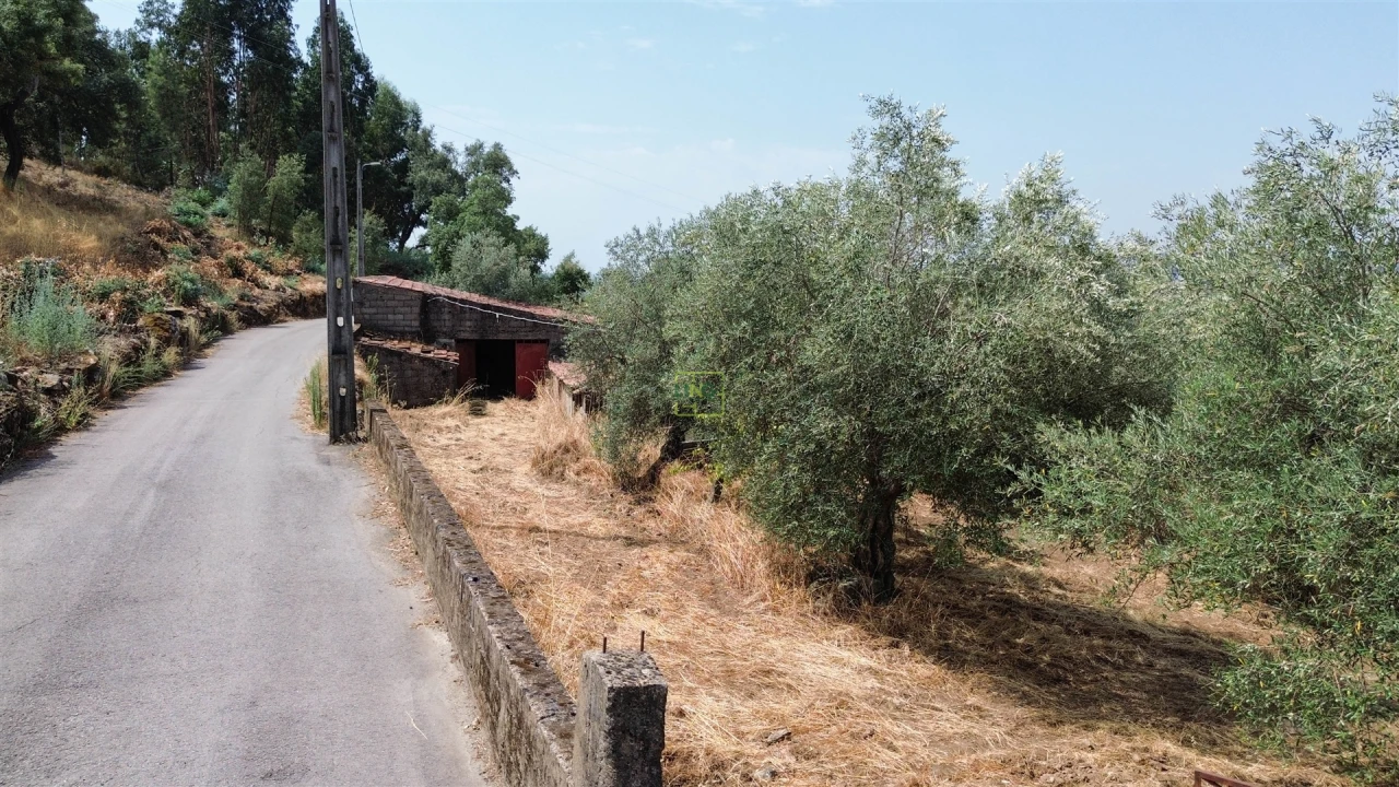 Terreno Agricola ou Rústico para Venda em Aranhas Foto 21