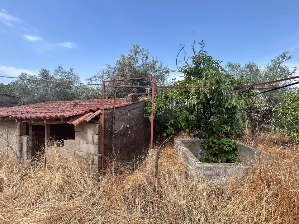 Terreno Agricola ou Rústico para Venda em Aranhas Foto 30