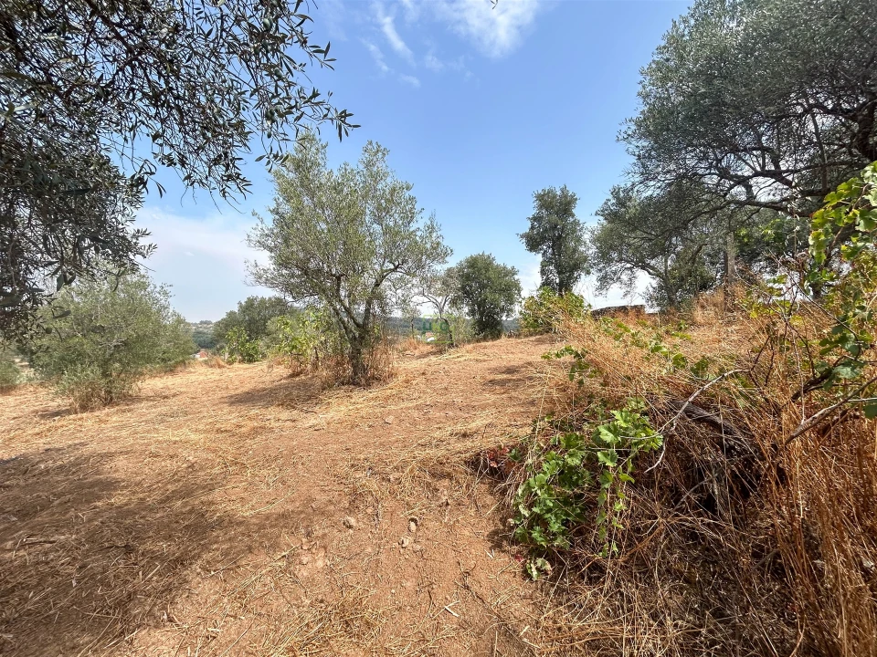 Terreno Agricola ou Rústico para Venda em Aranhas Foto 39