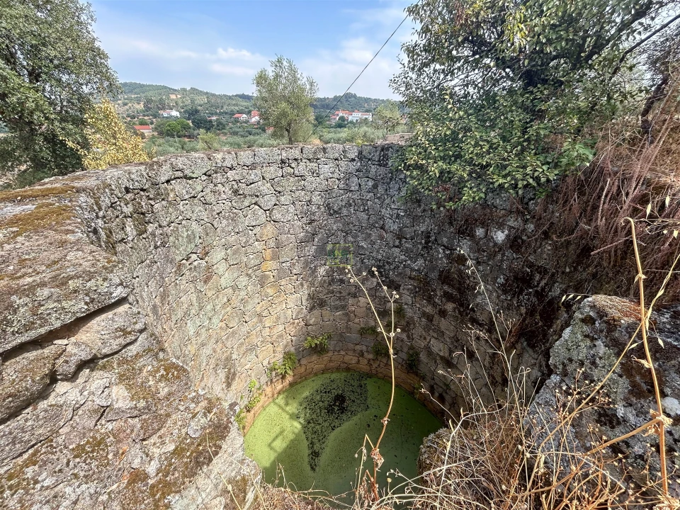 Terreno Agricola ou Rústico para Venda em Aranhas Foto 35