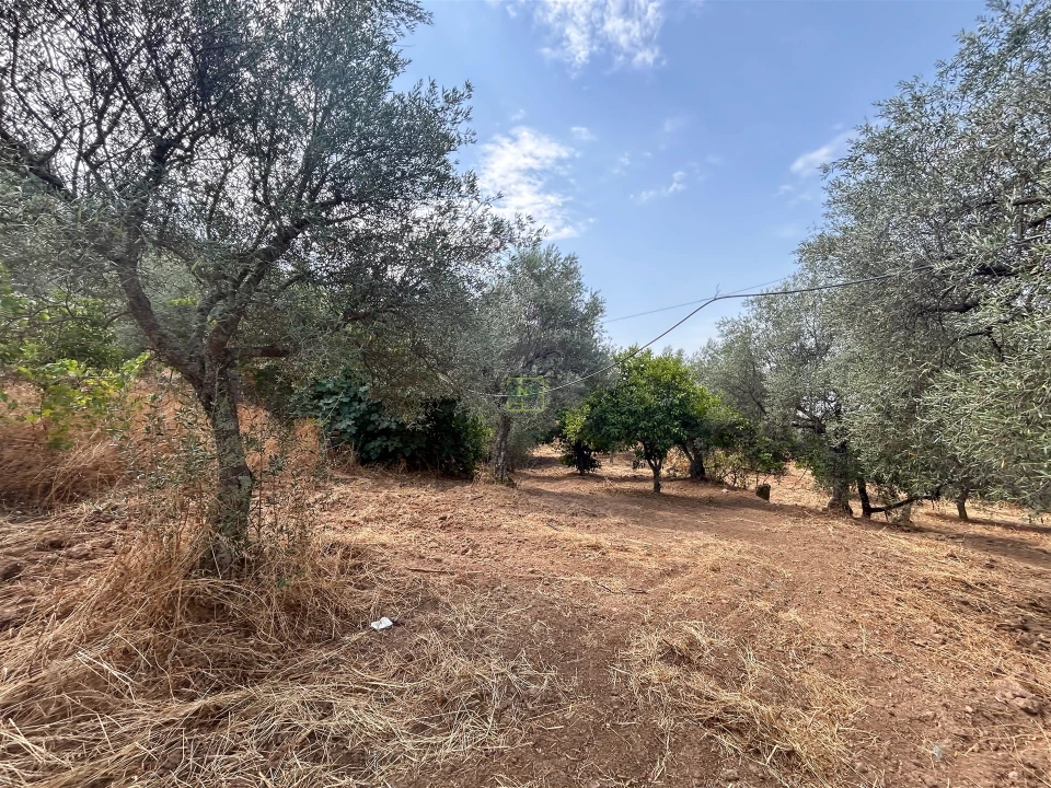 Terreno Agricola ou Rústico para Venda em Aranhas Foto 34