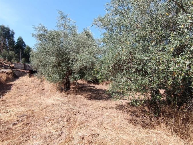 Terreno Agricola ou Rústico para Venda em Aranhas Foto 6