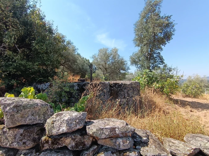 Terreno Agricola ou Rústico para Venda em Aranhas Foto 13
