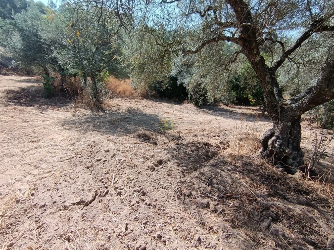 Terreno Agricola ou Rústico para Venda em Aranhas Foto 12