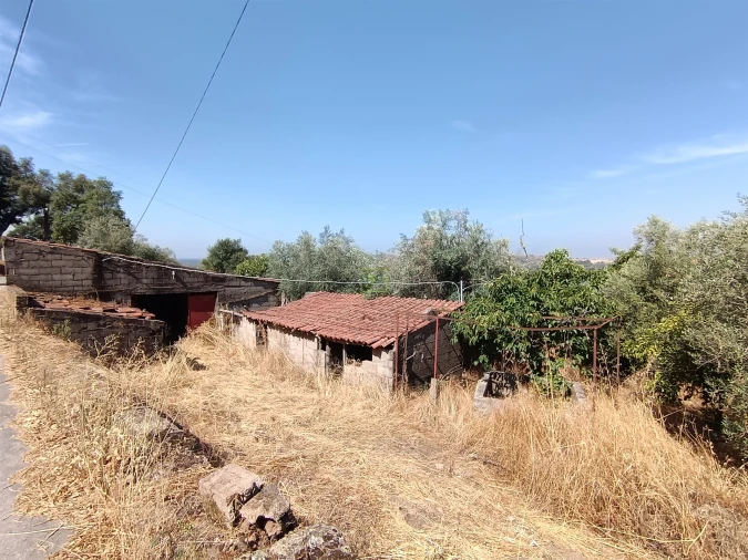 Terreno Agricola ou Rústico para Venda em Aranhas Foto 3