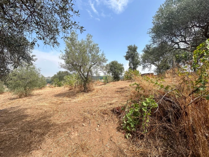 Terreno Agricola ou Rústico para Venda em Aranhas Foto 39