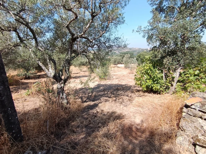 Terreno Agricola ou Rústico para Venda em Aranhas Foto 11
