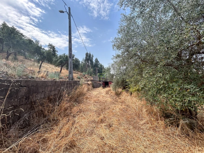 Terreno Agricola ou Rústico para Venda em Aranhas Foto 32