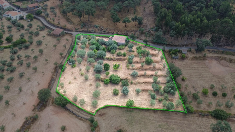 Terreno Agricola ou Rústico para Venda em Aranhas Foto 41