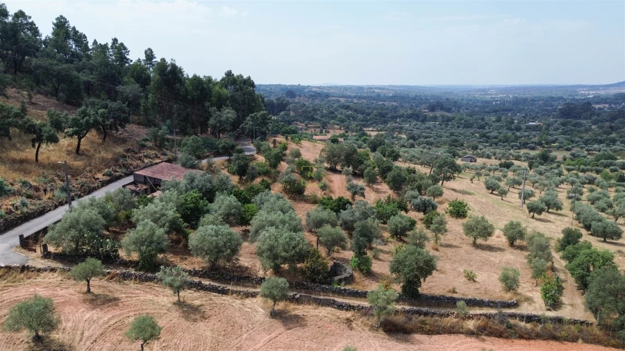 Terreno Agricola ou Rústico para Venda em Aranhas Foto 18