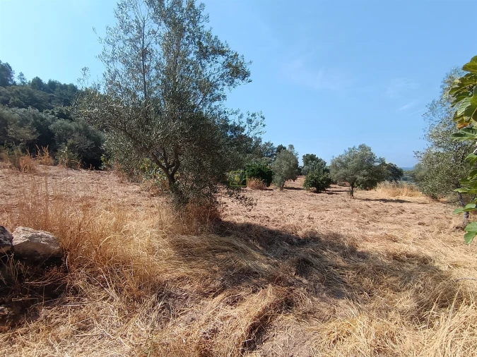 Terreno Agricola ou Rústico para Venda em Aranhas Foto 15