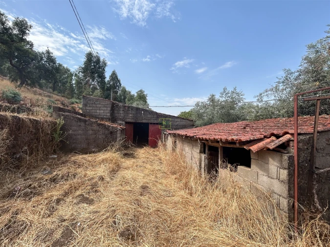 Terreno Agricola ou Rústico para Venda em Aranhas Foto 31