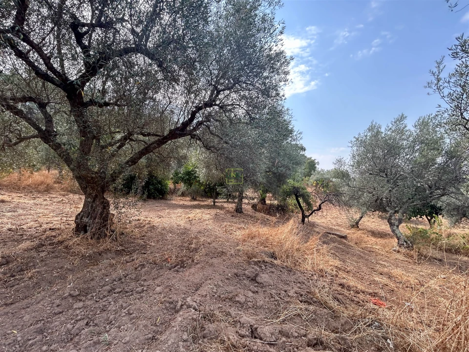 Terreno Agricola ou Rústico para Venda em Aranhas Foto 37