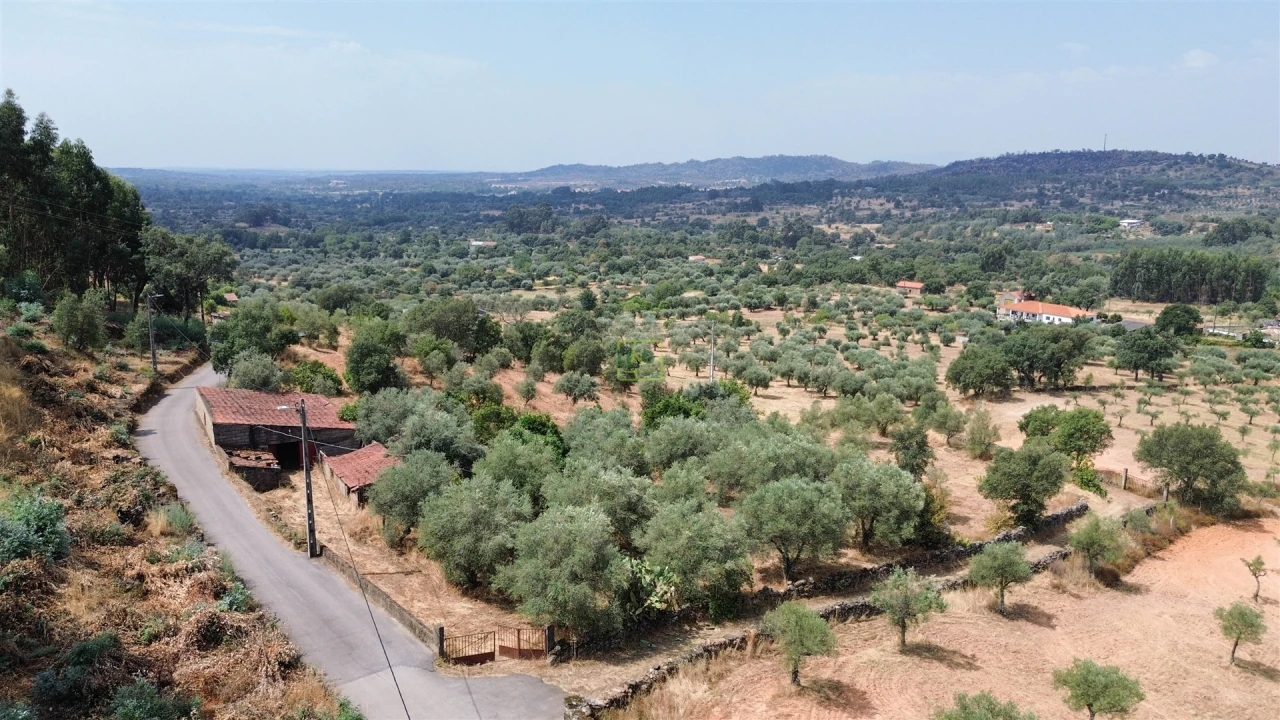 Terreno Agricola ou Rústico para Venda em Aranhas Foto 17
