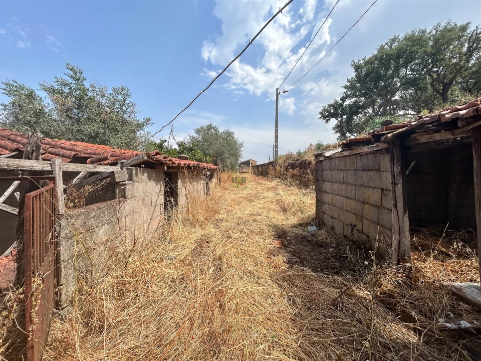 Terreno Agricola ou Rústico para Venda em Aranhas Foto 23