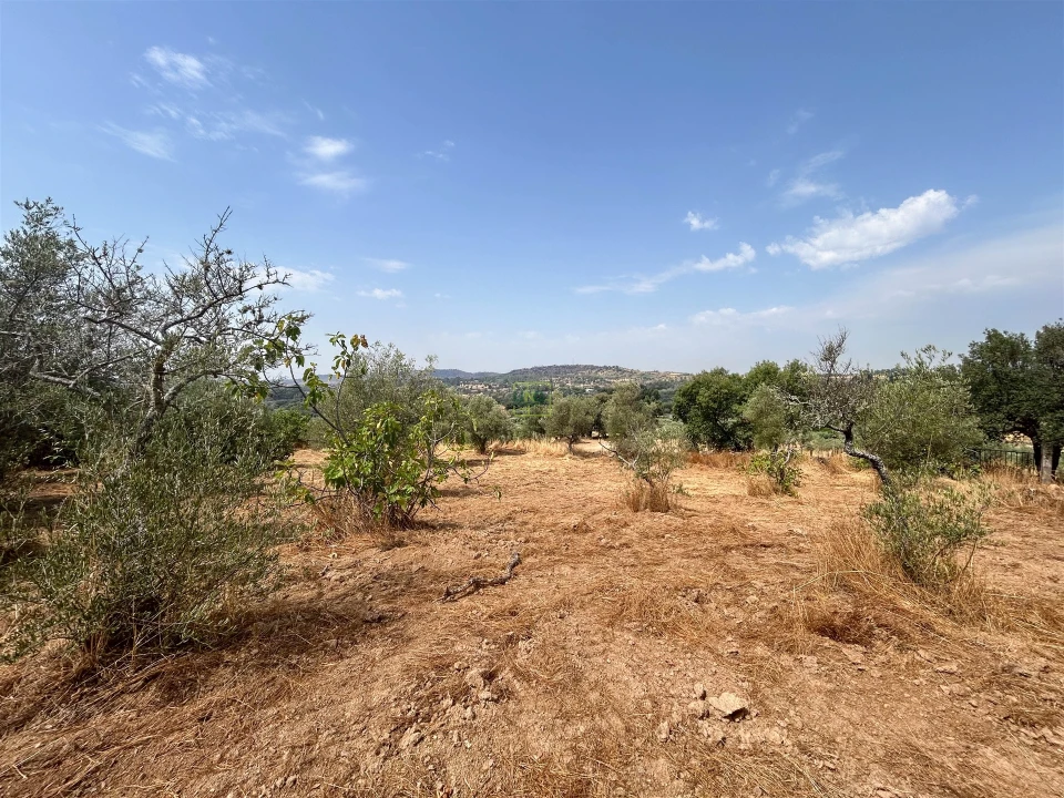 Terreno Agricola ou Rústico para Venda em Aranhas Foto 38