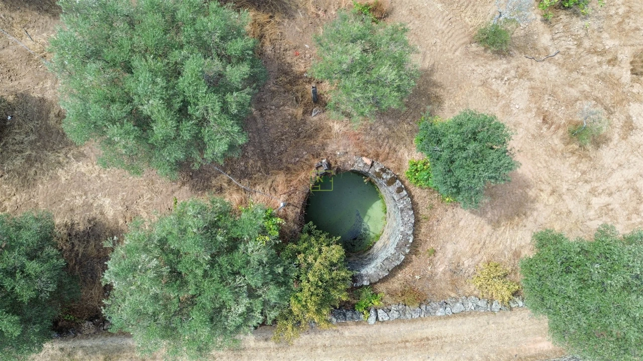 Terreno Agricola ou Rústico para Venda em Aranhas Foto 19