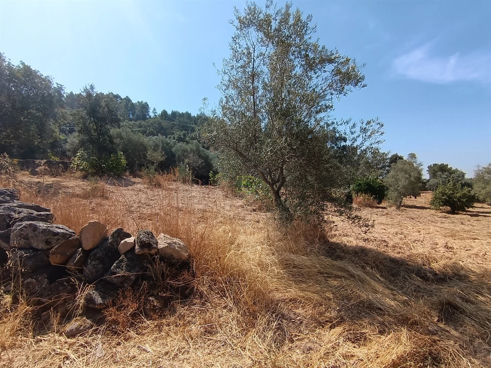 Terreno Agricola ou Rústico para Venda em Aranhas Foto 16