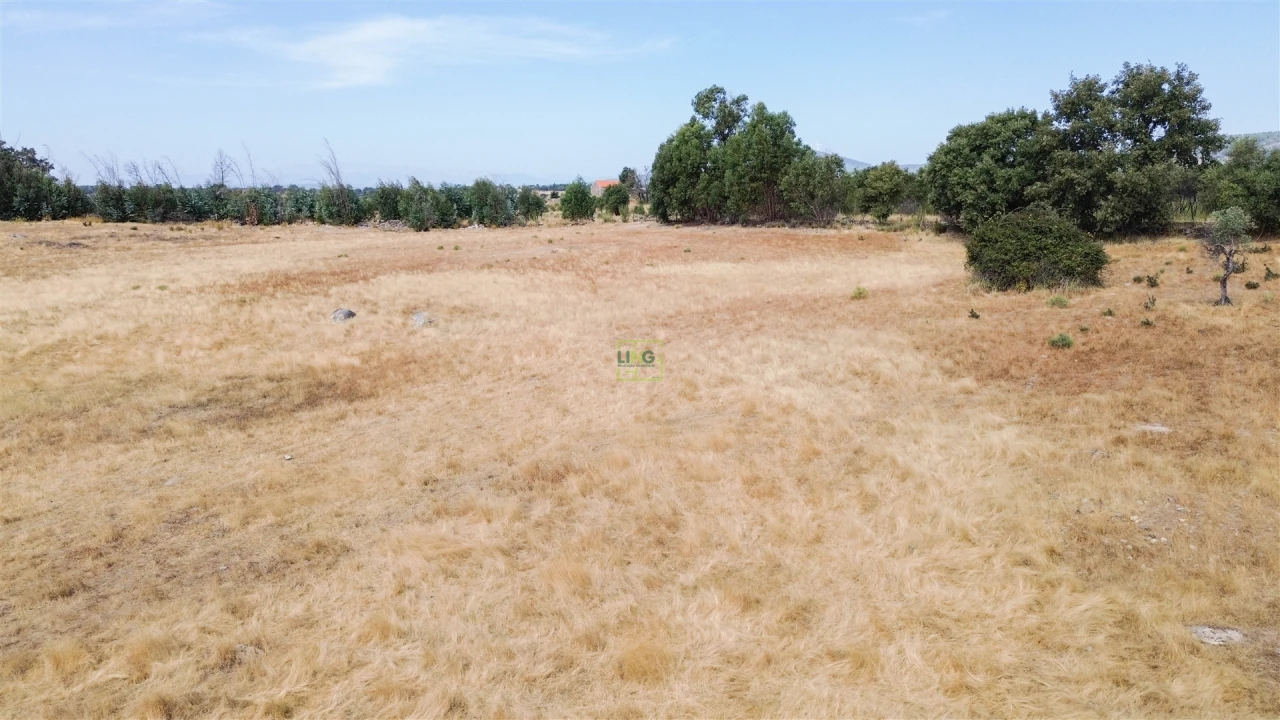 Quinta T0 para Venda em Penamacor Foto 34