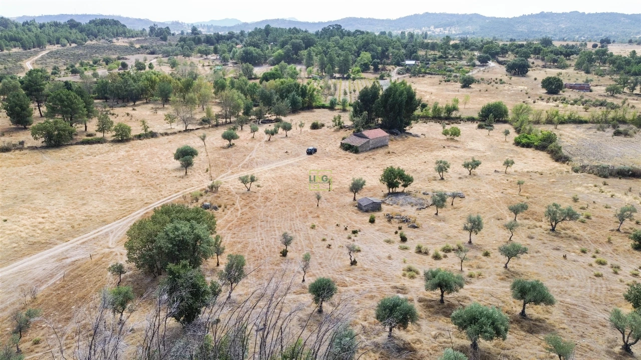 Quinta T0 para Venda em Penamacor Foto 42