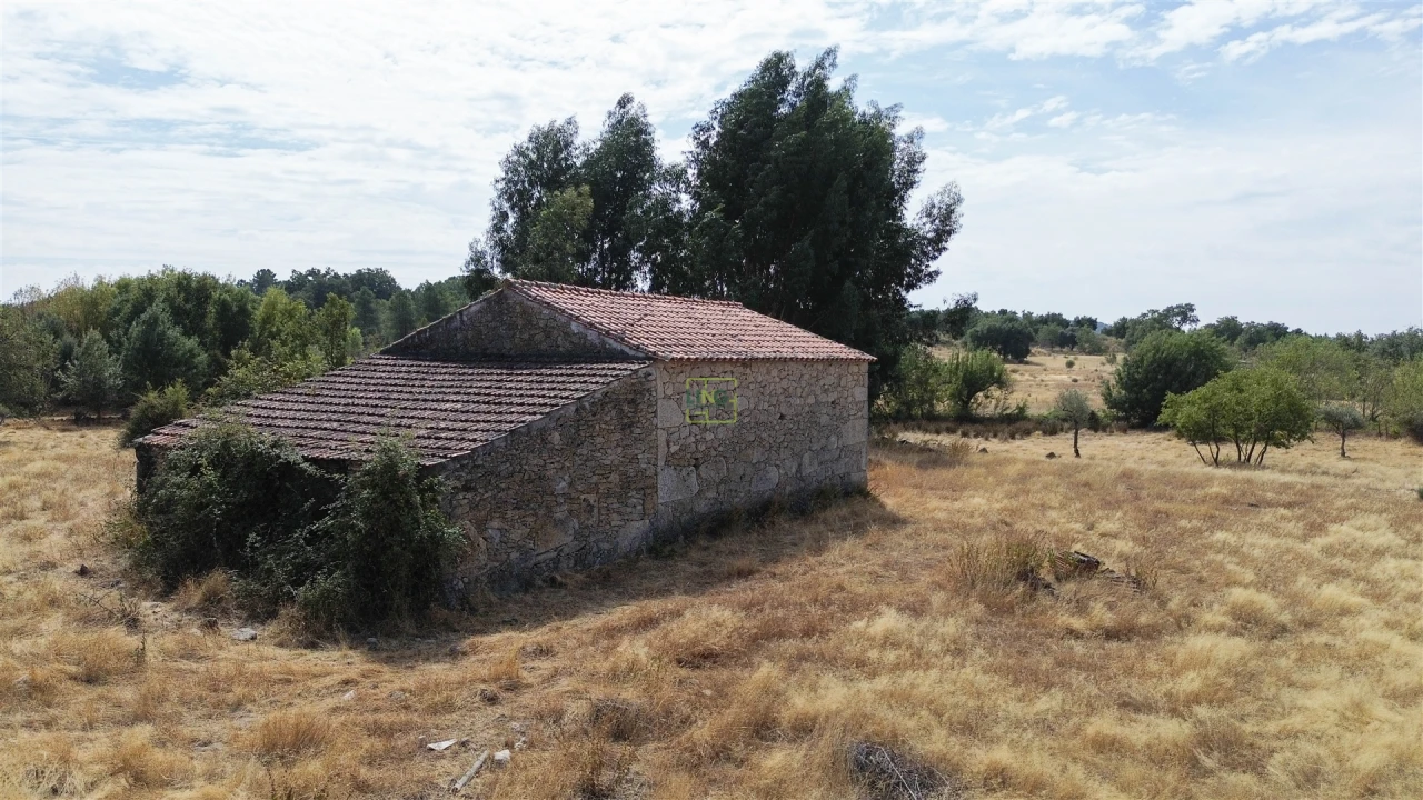Quinta T0 para Venda em Penamacor Foto 23