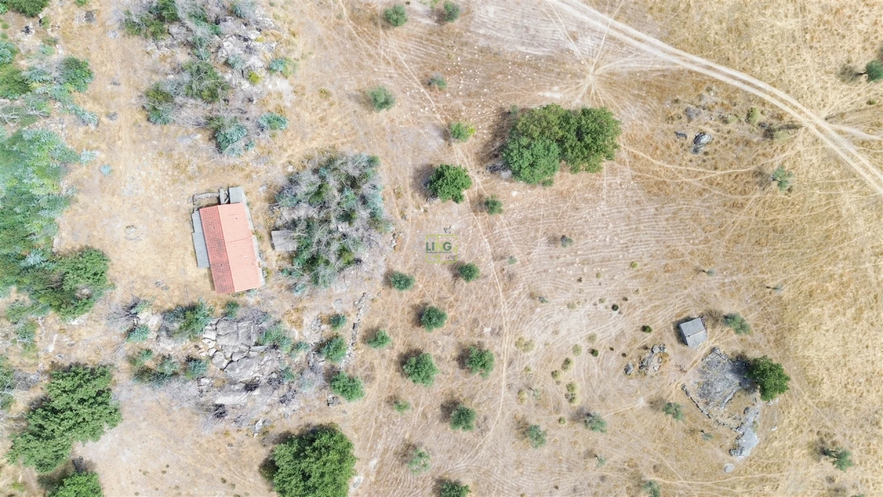 Quinta T0 para Venda em Penamacor Foto 13