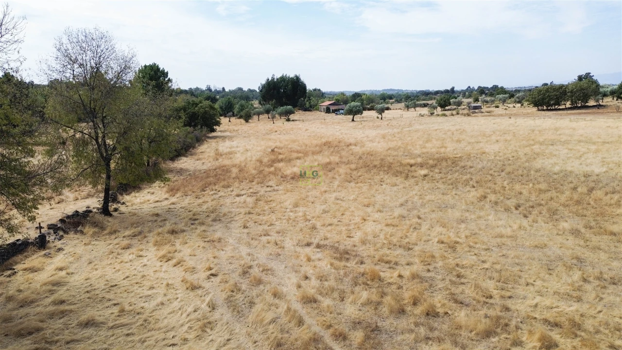 Quinta T0 para Venda em Penamacor Foto 36