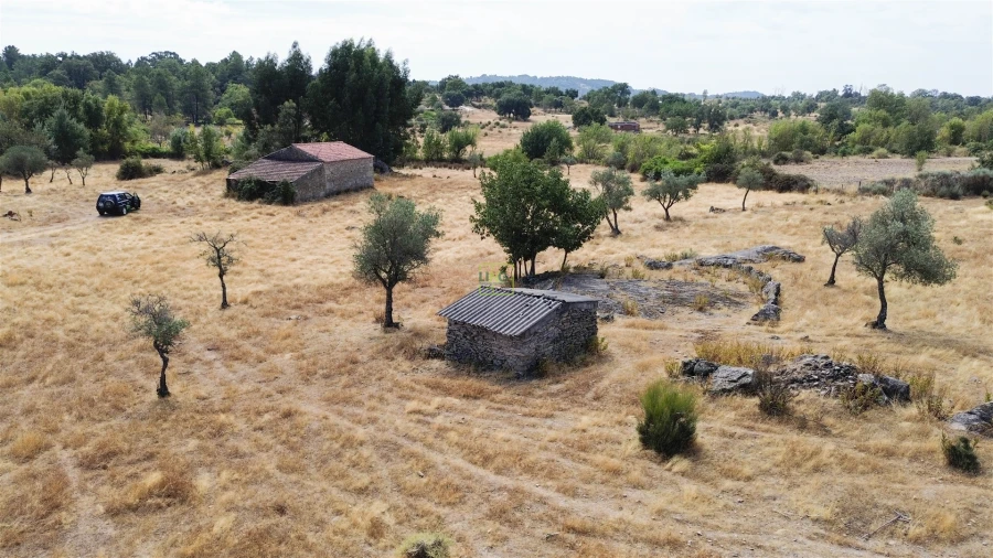 Quinta T0 para Venda em Penamacor Foto 9