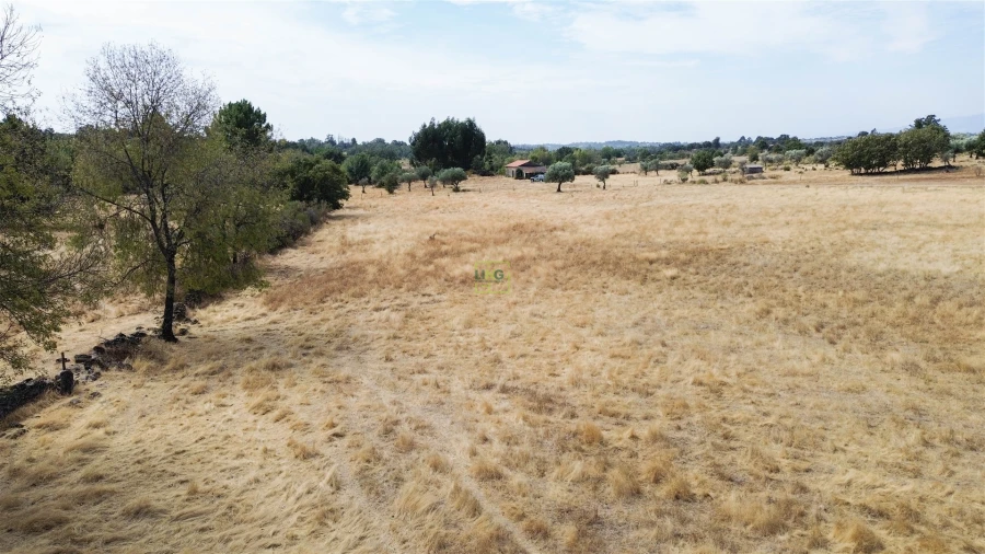 Quinta T0 para Venda em Penamacor Foto 36