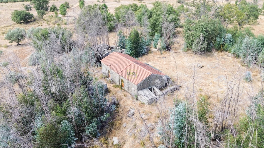 Quinta T0 para Venda em Penamacor Foto 38