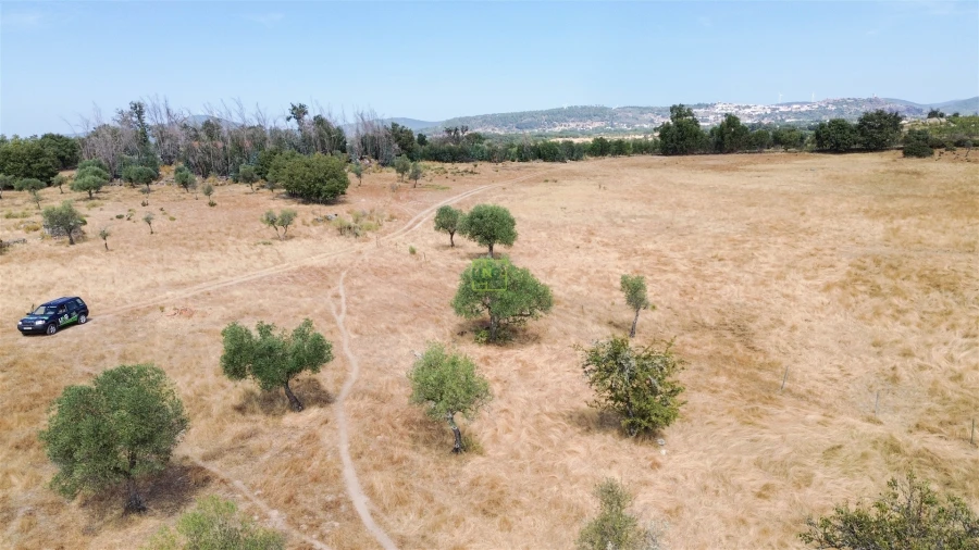 Quinta T0 para Venda em Penamacor Foto 31