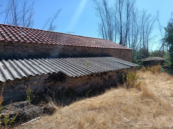 Quinta T0 para Venda em Penamacor Foto 7