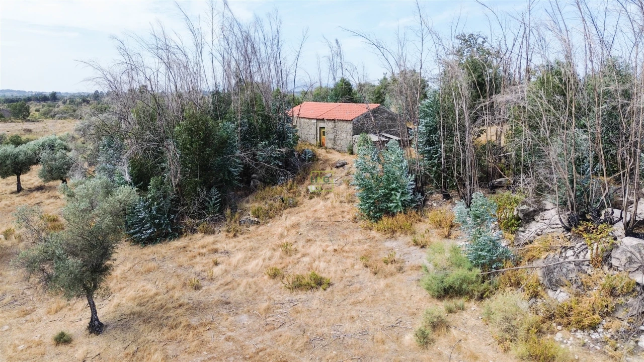 Quinta T0 para Venda em Penamacor Foto 37