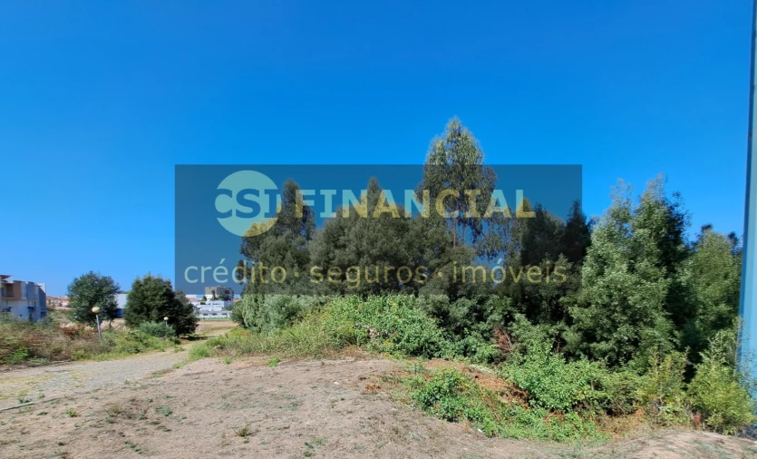 Quinta T9 para Venda em Santa Maria de Lamas Foto 23