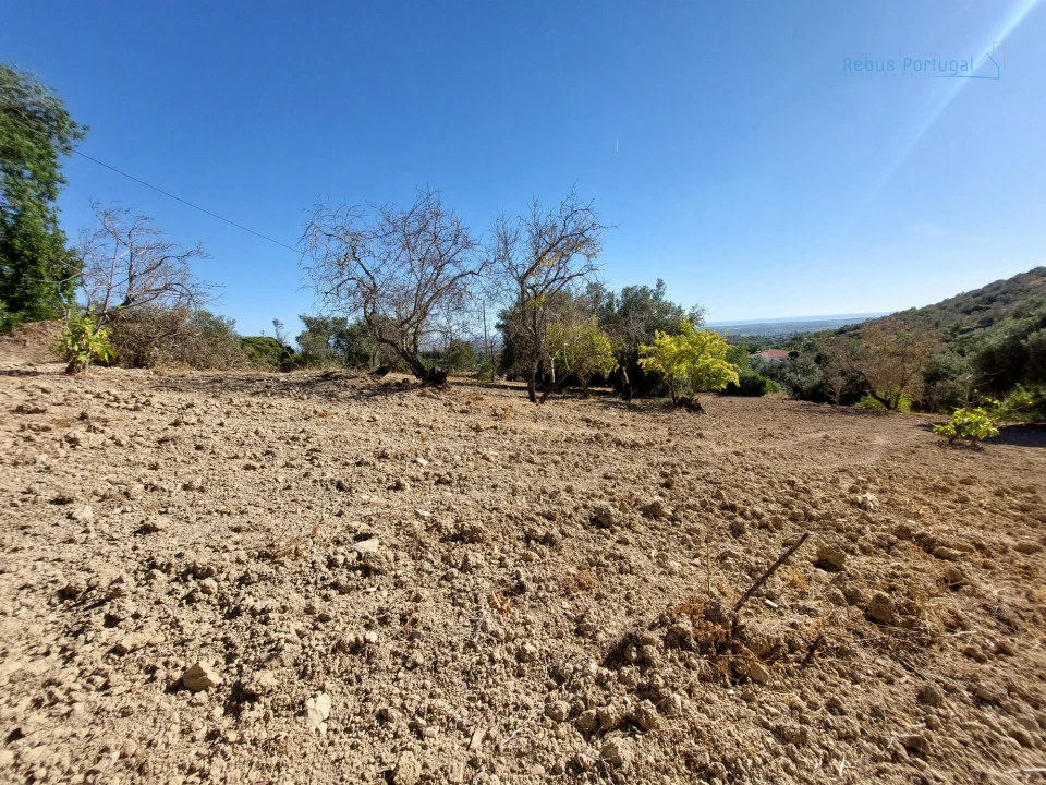 Terreno Misto para Venda em Santa Barbara de Nexe Foto 13