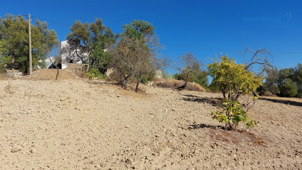 Terreno Misto para Venda em Santa Barbara de Nexe Foto 21