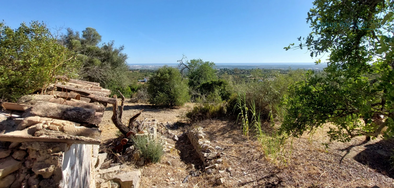 Terreno Misto para Venda em Santa Barbara de Nexe Foto 16