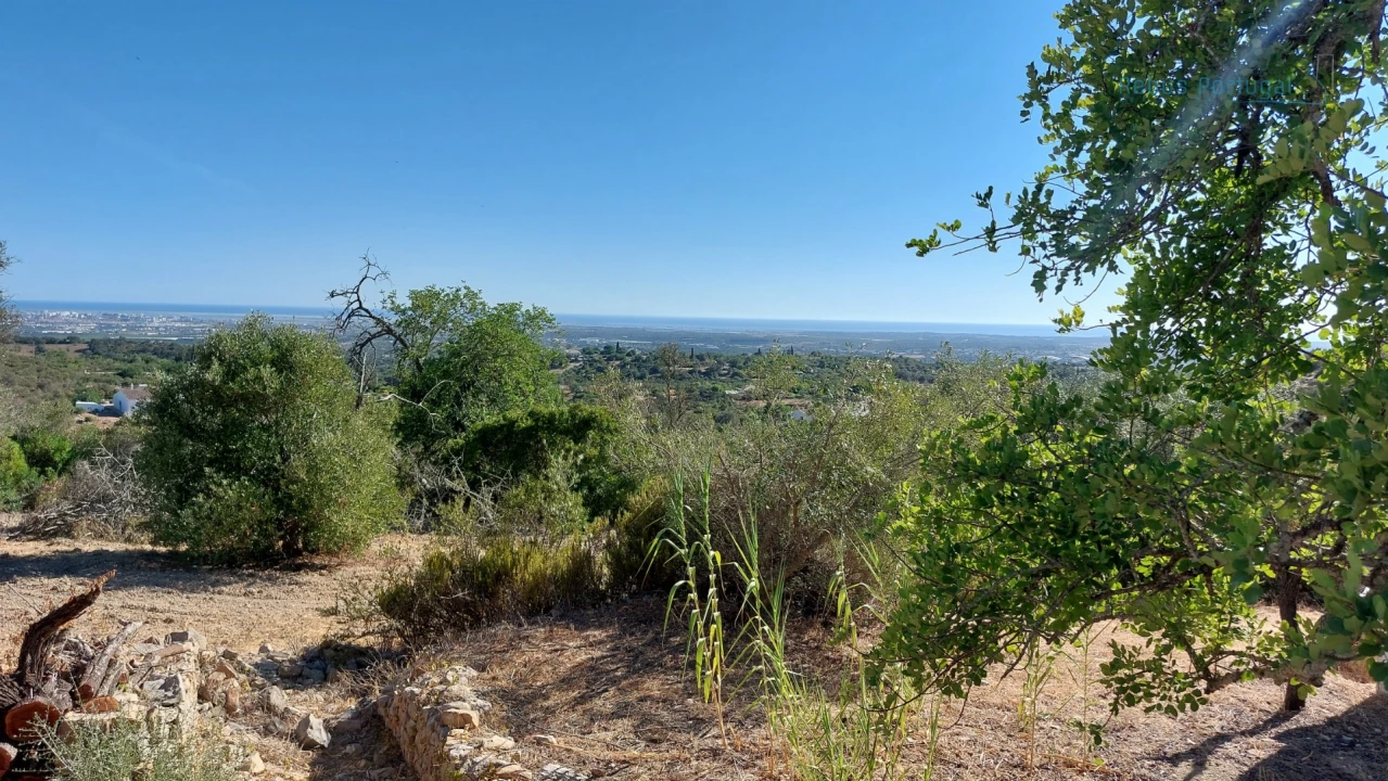 Terreno Misto para Venda em Santa Barbara de Nexe Foto 17