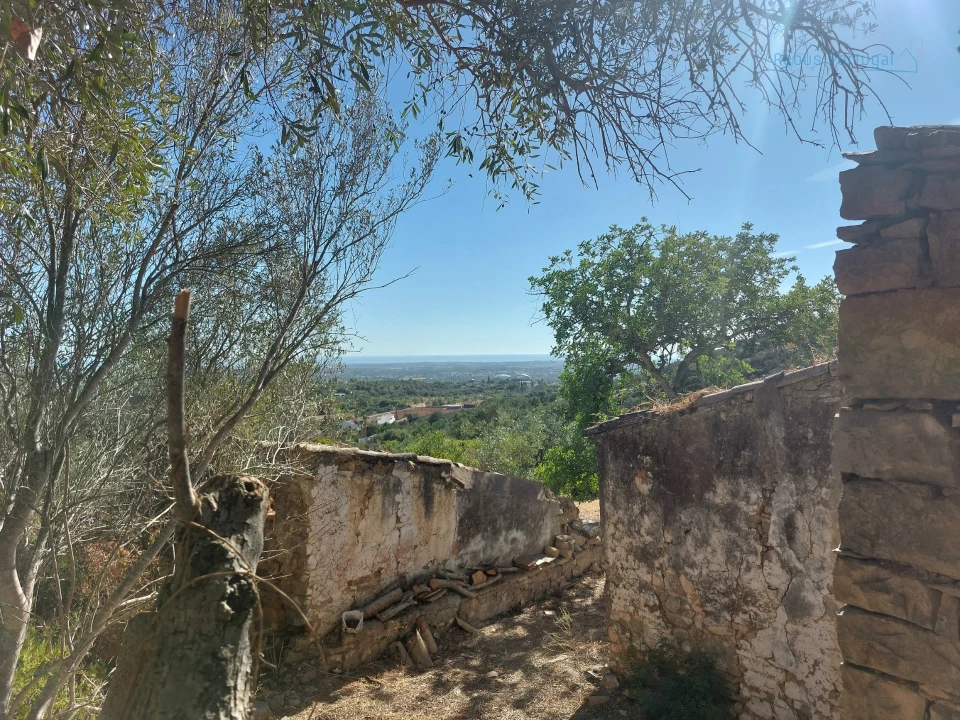 Terreno Misto para Venda em Santa Barbara de Nexe Foto 6