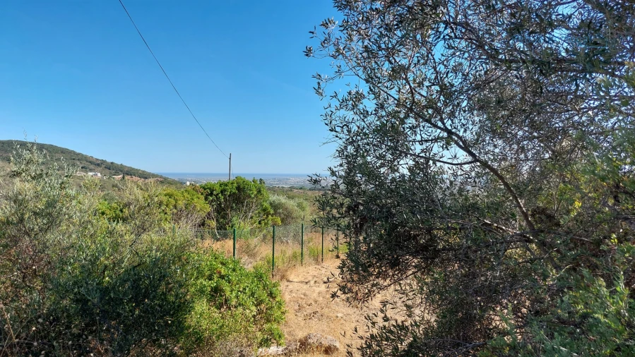 Terreno Misto para Venda em Santa Barbara de Nexe Foto 10
