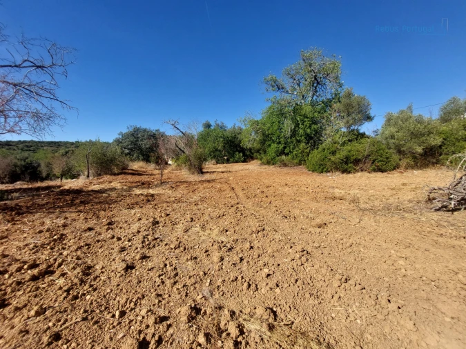 Terreno Misto para Venda em Santa Barbara de Nexe Foto 11