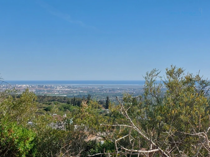 Terreno Misto para Venda em Santa Barbara de Nexe Foto 2
