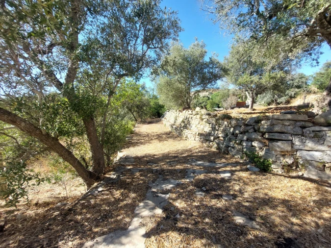 Terreno Misto para Venda em Santa Barbara de Nexe Foto 12
